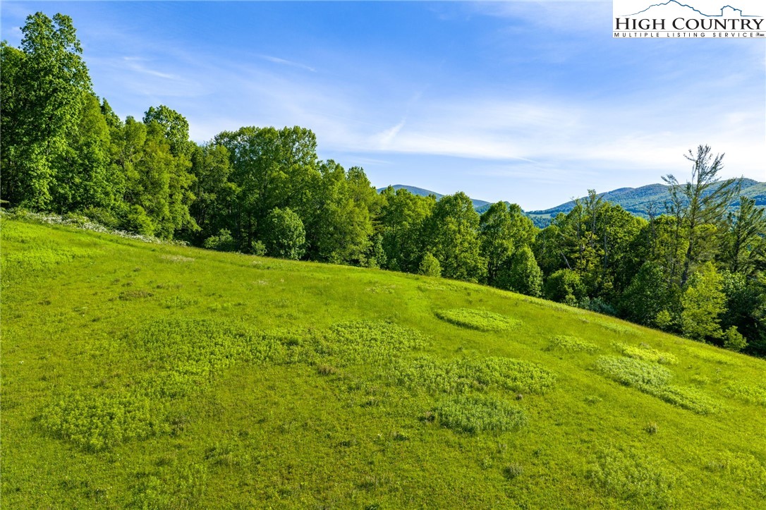 Tbd Three Top Road Property Photo 13