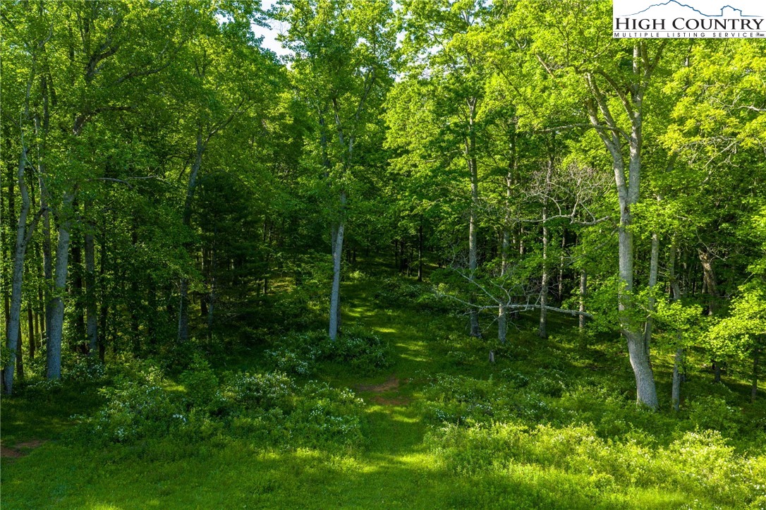 Tbd Three Top Road Property Photo 14