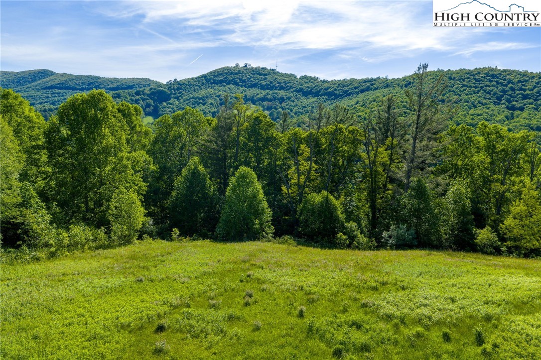 Tbd Three Top Road Property Photo 16