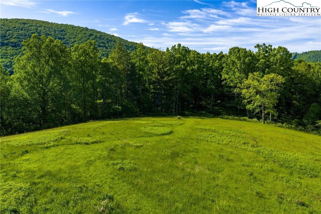 Tbd Three Top Road Property Photo 17