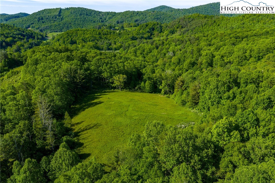 Tbd Three Top Road Property Photo 18