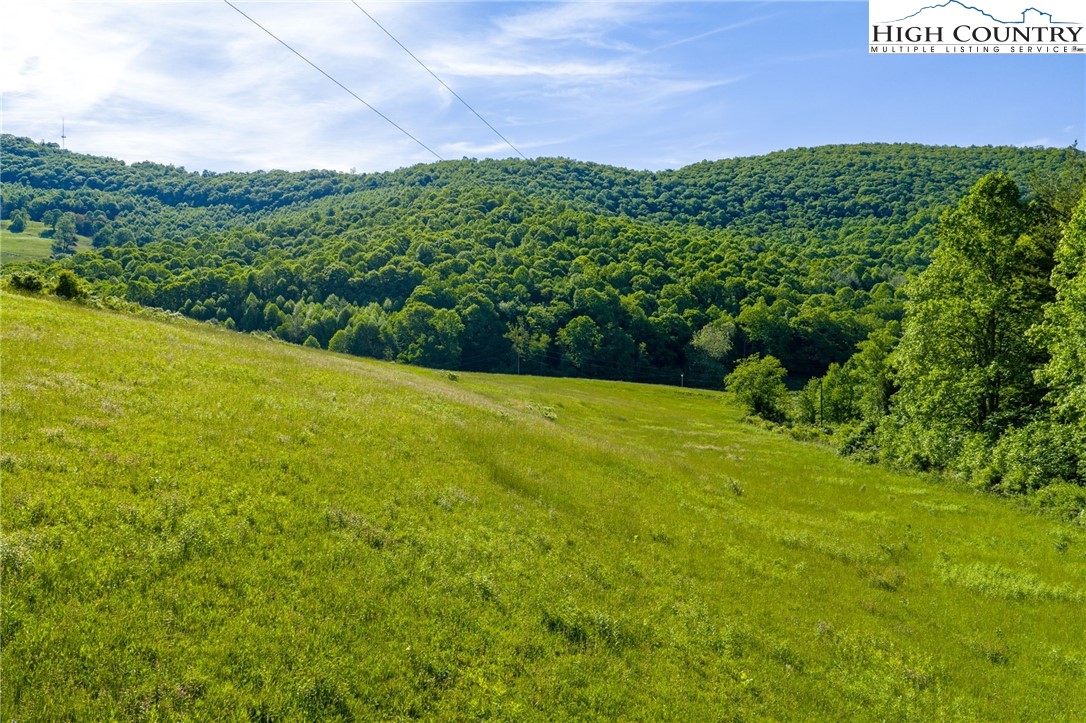 Tbd Three Top Road Property Photo 19