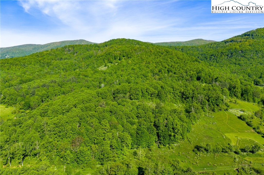 Tbd Three Top Road Property Photo 28