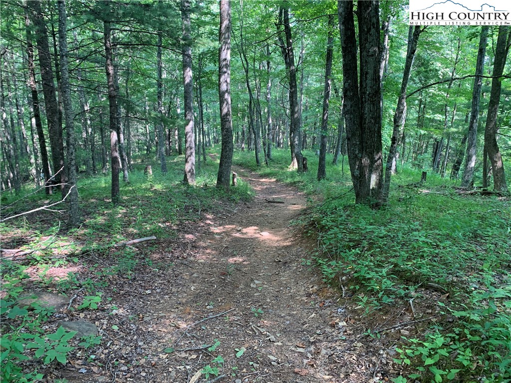 Tbd Three Top Road Property Photo 35