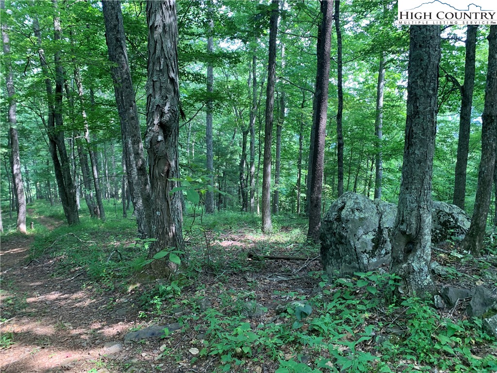 Tbd Three Top Road Property Photo 36