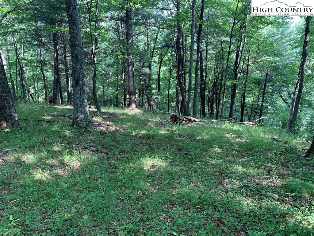 Tbd Three Top Road Property Photo 37