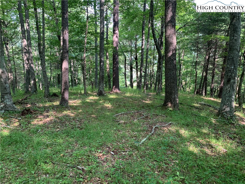 Tbd Three Top Road Property Photo 38