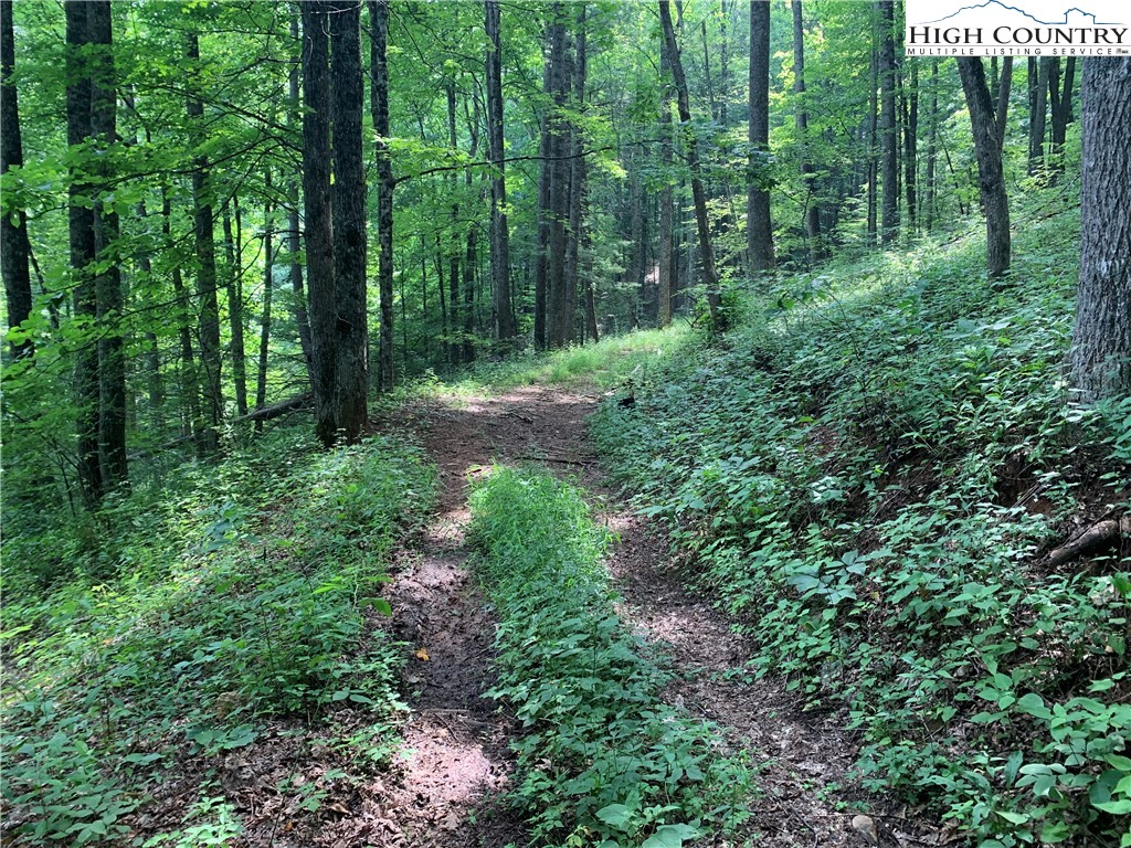 Tbd Three Top Road Property Photo 39