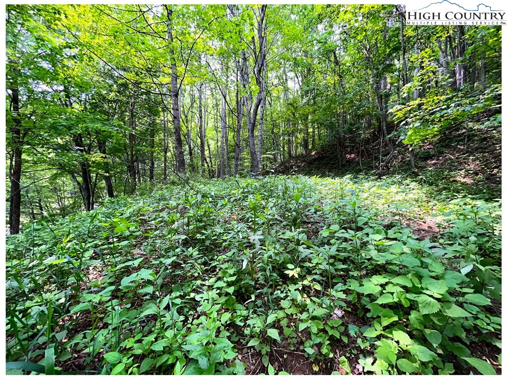 Tbd Ben Bolen Road Property Photo 2