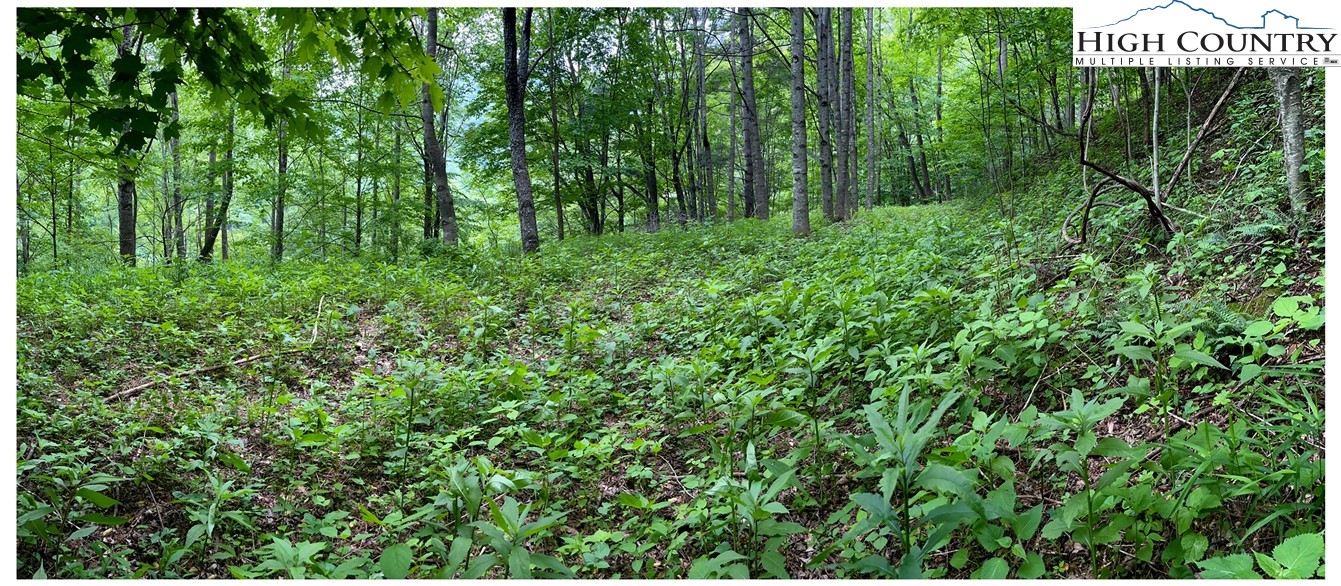 Tbd Ben Bolen Road Property Photo 3