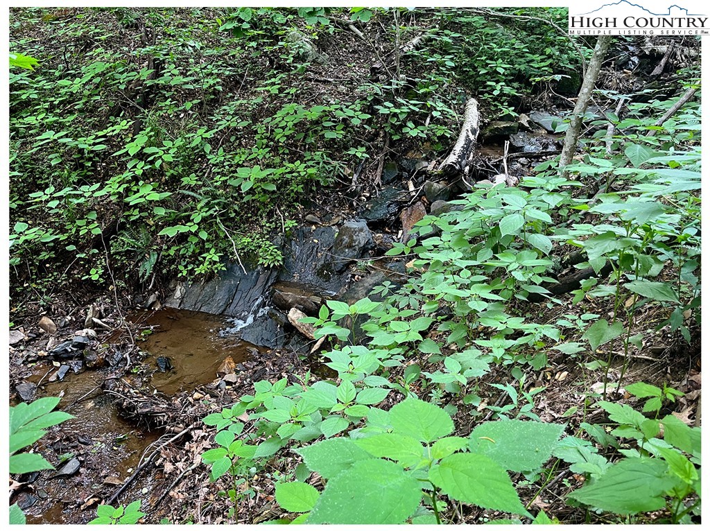 Tbd Ben Bolen Road Property Photo 4