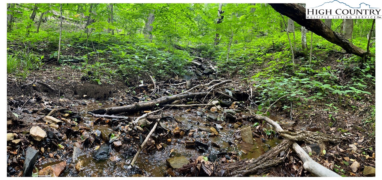 Tbd Ben Bolen Road Property Photo 5