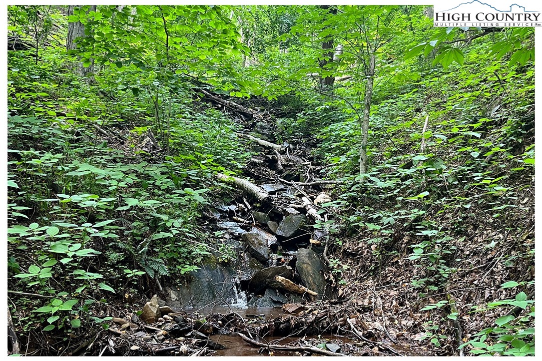 Tbd Ben Bolen Road Property Photo 6