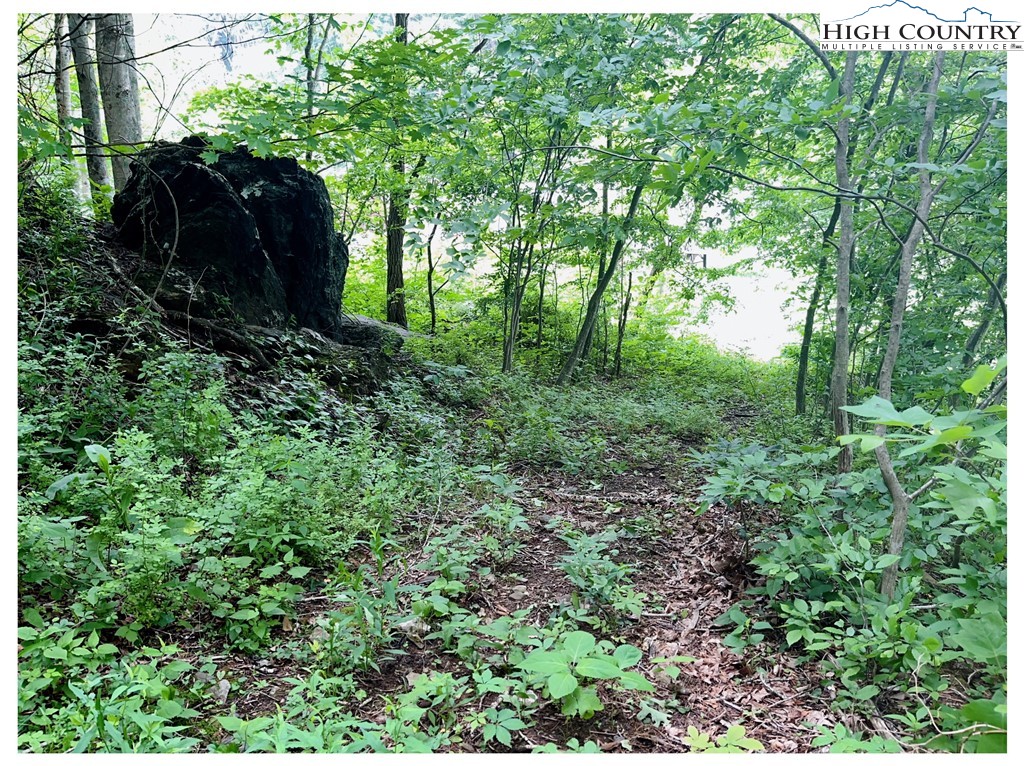 Tbd Ben Bolen Road Property Photo 7