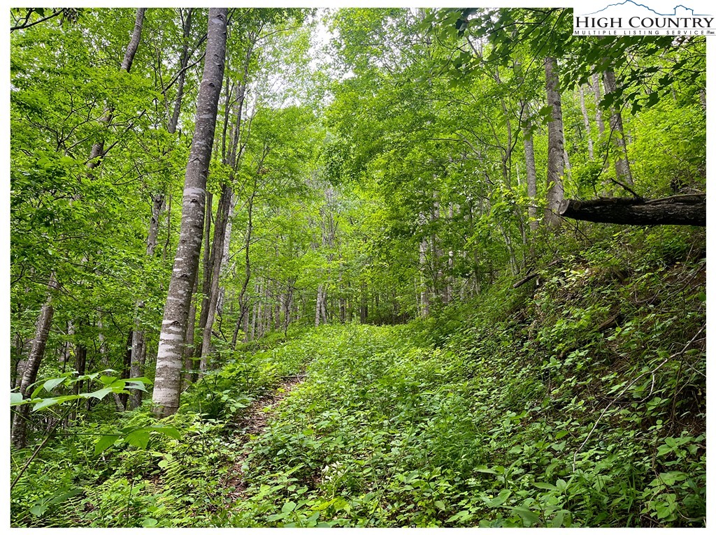 Tbd Ben Bolen Road Property Photo 8