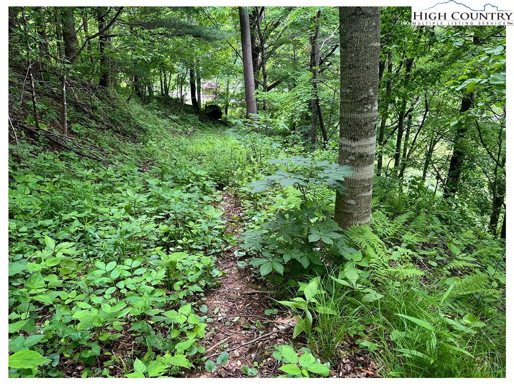 Tbd Ben Bolen Road Property Photo 9