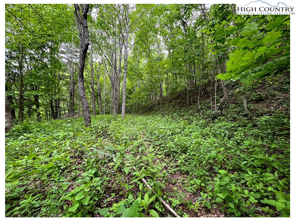 Tbd Ben Bolen Road Property Photo 10