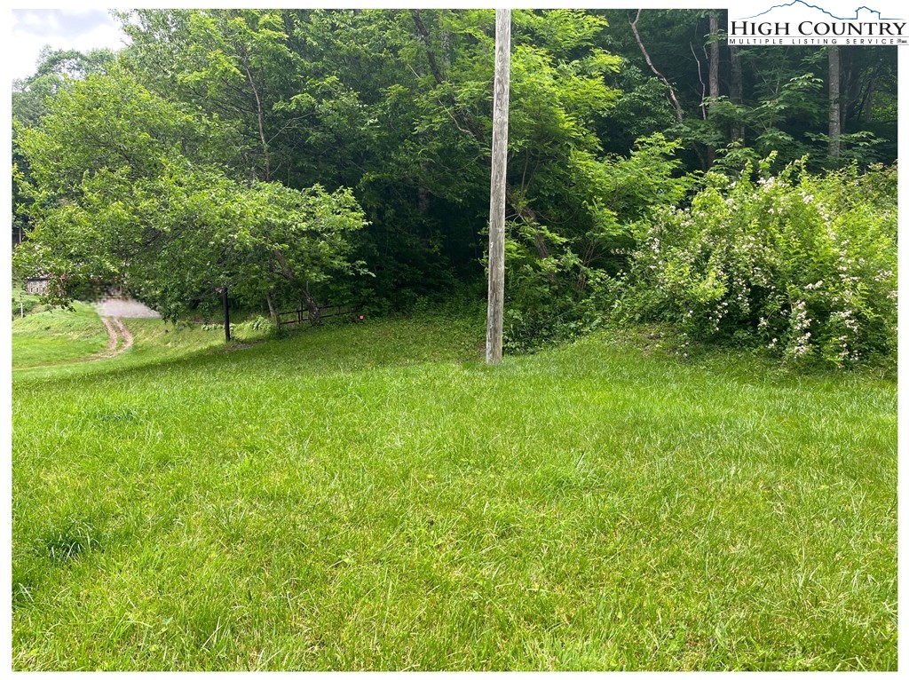 Tbd Ben Bolen Road Property Photo 11