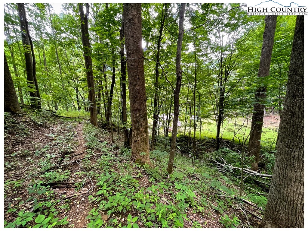 Tbd Ben Bolen Road Property Photo 13