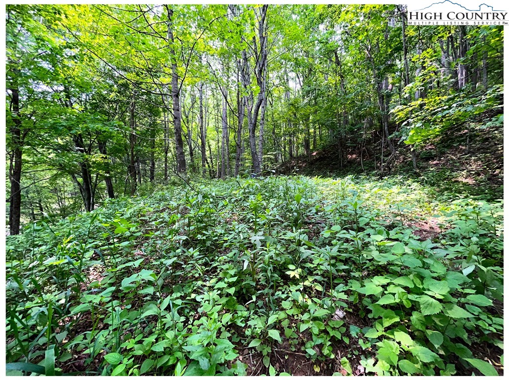 Tbd Ben Bolen Road Property Photo 14