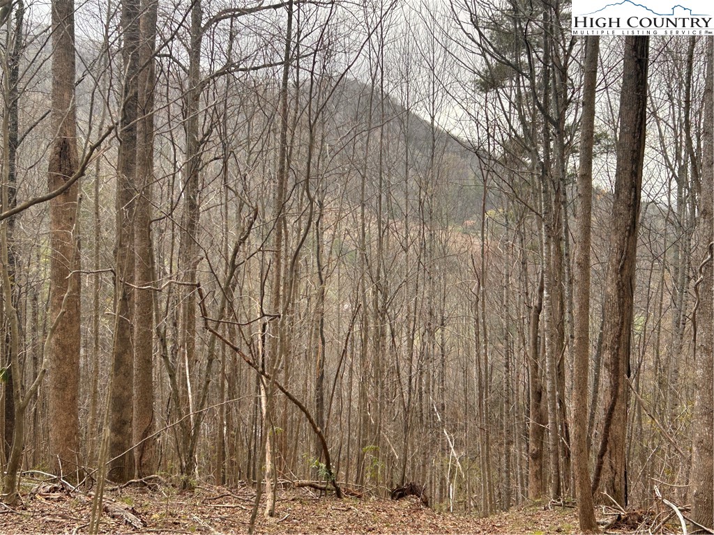 1122 Three Mile Highway Property Photo 3