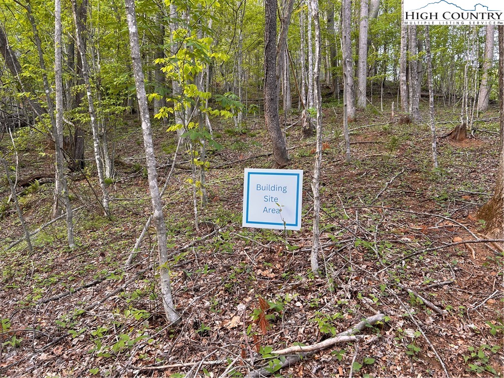 1122 Three Mile Highway Property Photo 5