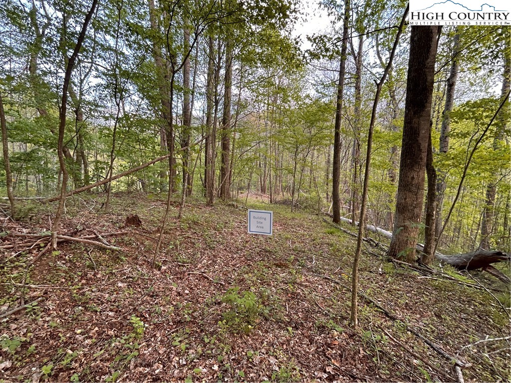 1122 Three Mile Highway Property Photo 6