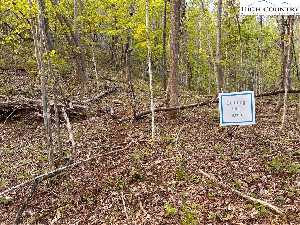 1122 Three Mile Highway Property Photo 7