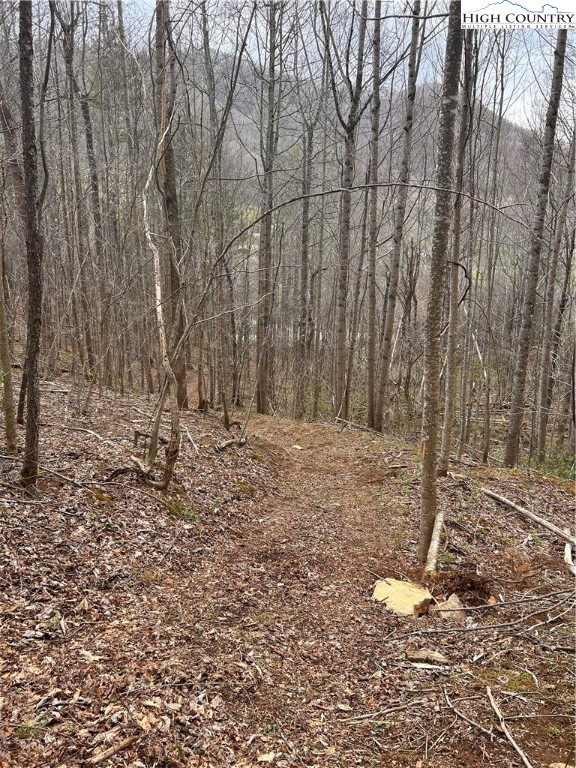 1122 Three Mile Highway Property Photo 9
