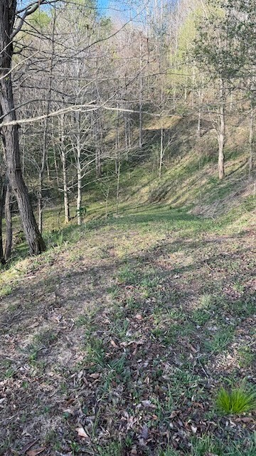 Tbd Spice Ridge N/a Property Photo 7
