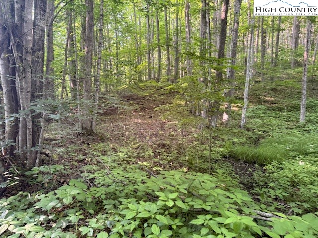 Lot 56 Beechwood Circle Property Photo 1