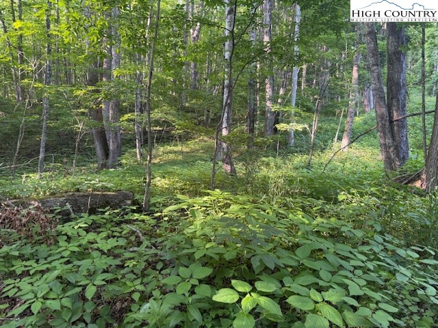 Lot 56 Beechwood Circle Property Photo 2