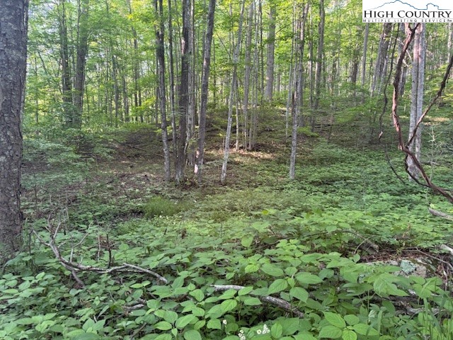 Lot 59 Beechwood Circle Property Photo 1