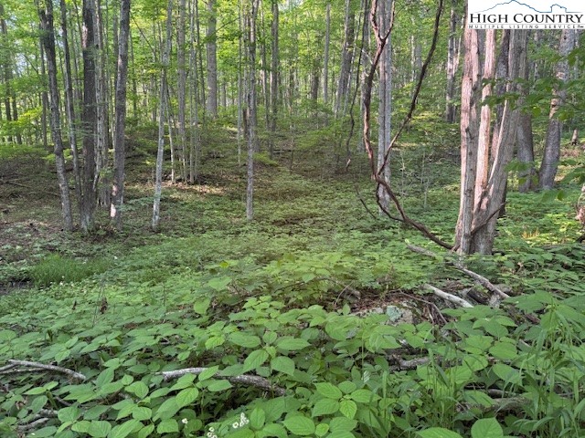Lot 59 Beechwood Circle Property Photo 2
