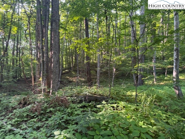 Lot 59 Beechwood Circle Property Photo 3