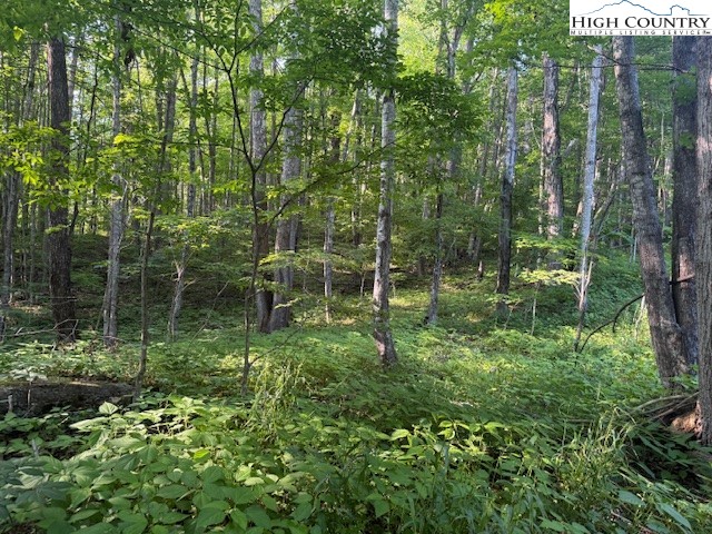 Lot 58 & 59 Beechwood Circle Property Photo 2