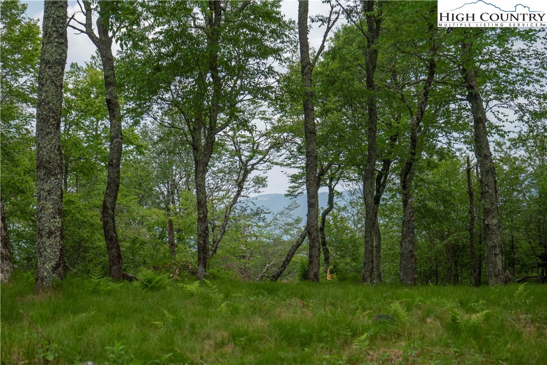 75 Green Cliffs Road Property Photo 1