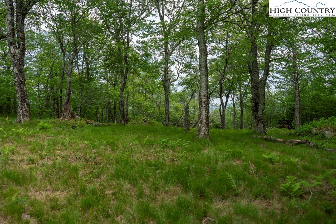 75 Green Cliffs Road Property Photo 2