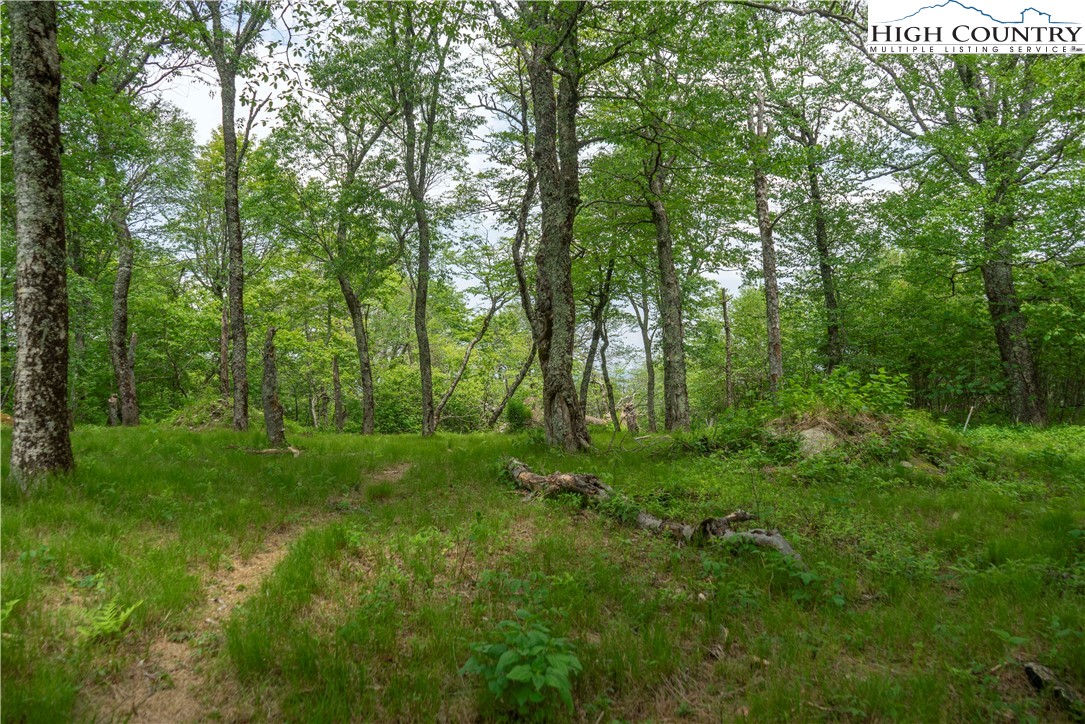 75 Green Cliffs Road Property Photo 3