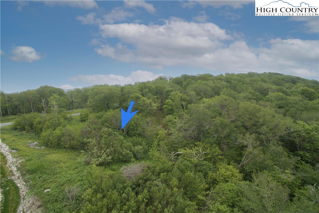 75 Green Cliffs Road Property Photo 5