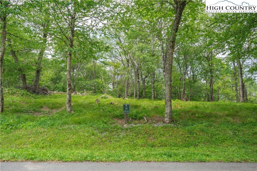 75 Green Cliffs Road Property Photo 8
