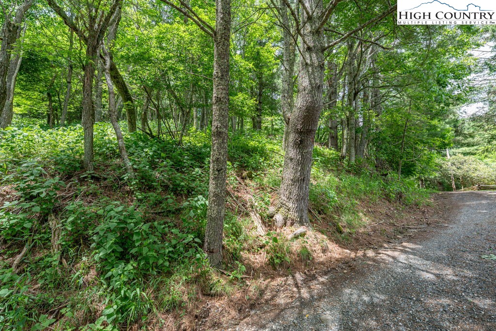 Lot 36b Indian Springs Road Property Photo 6