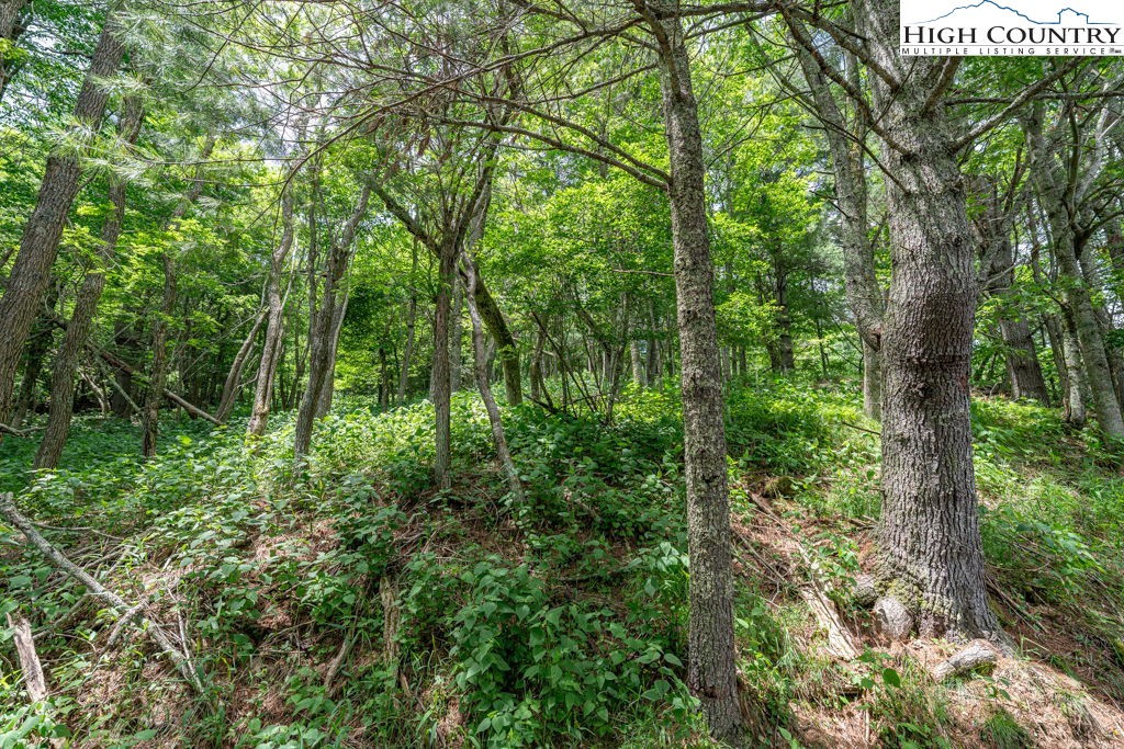 Lot 36b Indian Springs Road Property Photo 7
