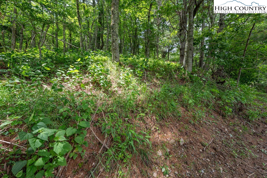 Lot 36b Indian Springs Road Property Photo 8