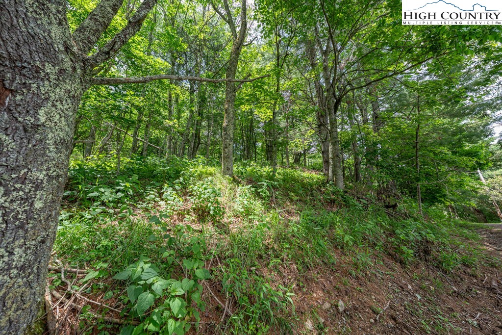 Lot 36b Indian Springs Road Property Photo 9