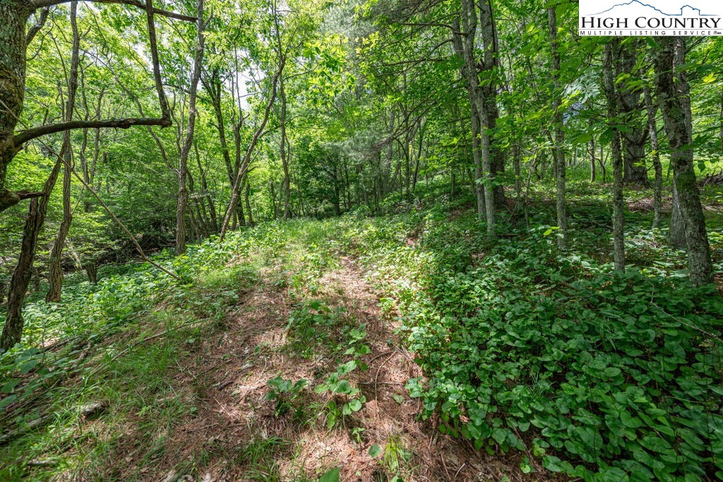 Lot 36b Indian Springs Road Property Photo 10