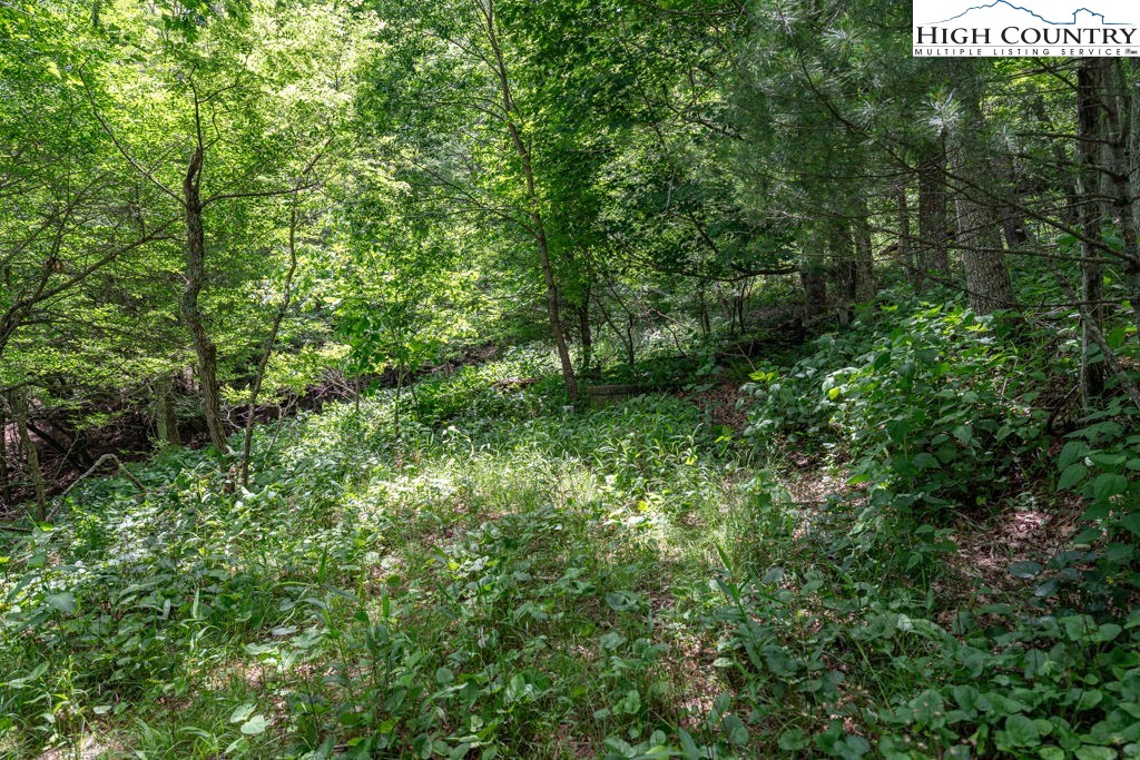 Lot 36b Indian Springs Road Property Photo 11