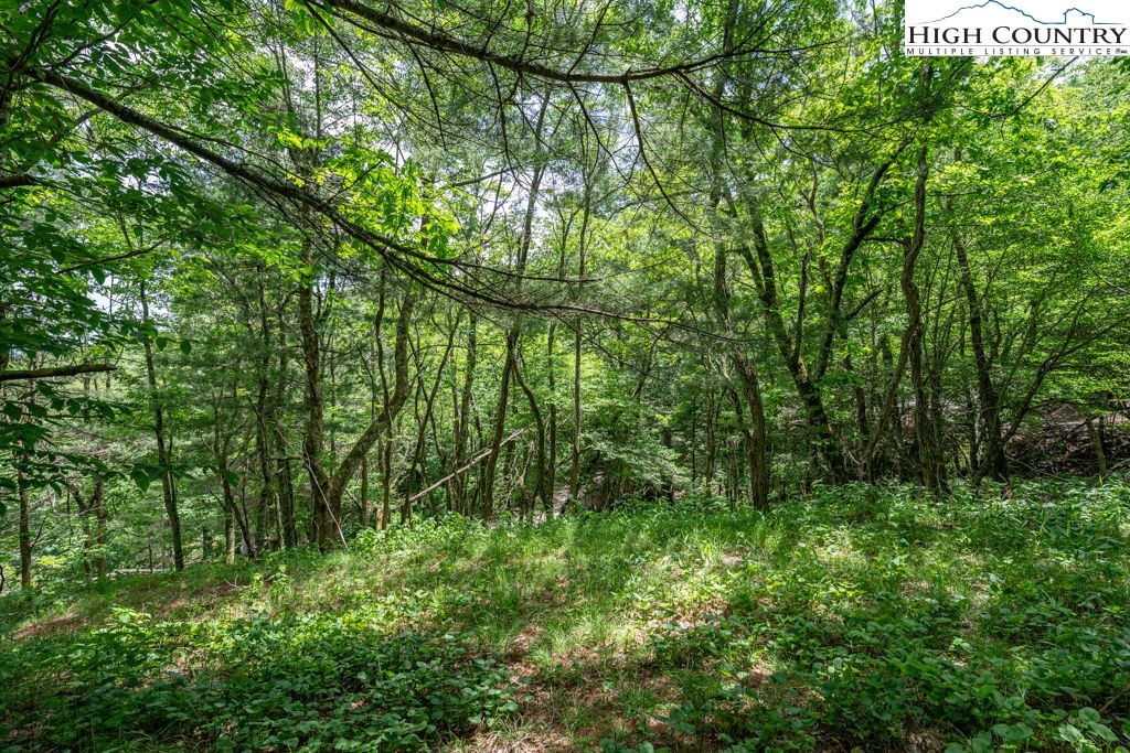 Lot 36b Indian Springs Road Property Photo 12
