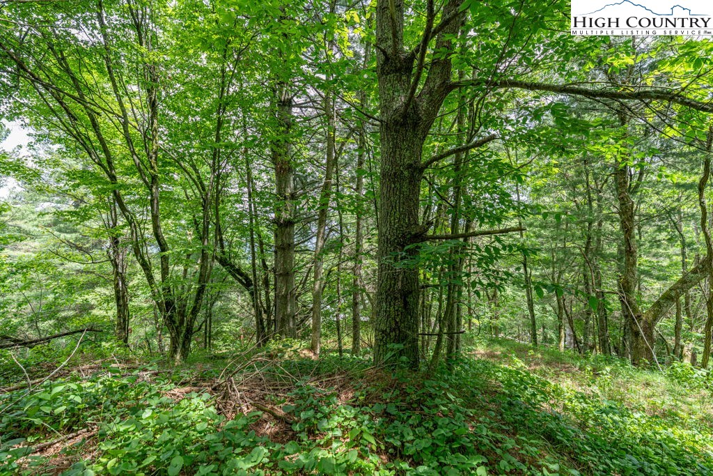 Lot 36b Indian Springs Road Property Photo 13
