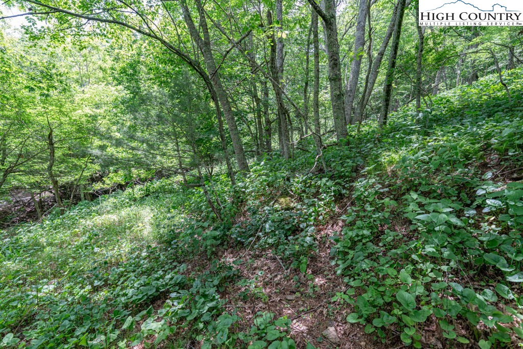 Lot 36b Indian Springs Road Property Photo 14